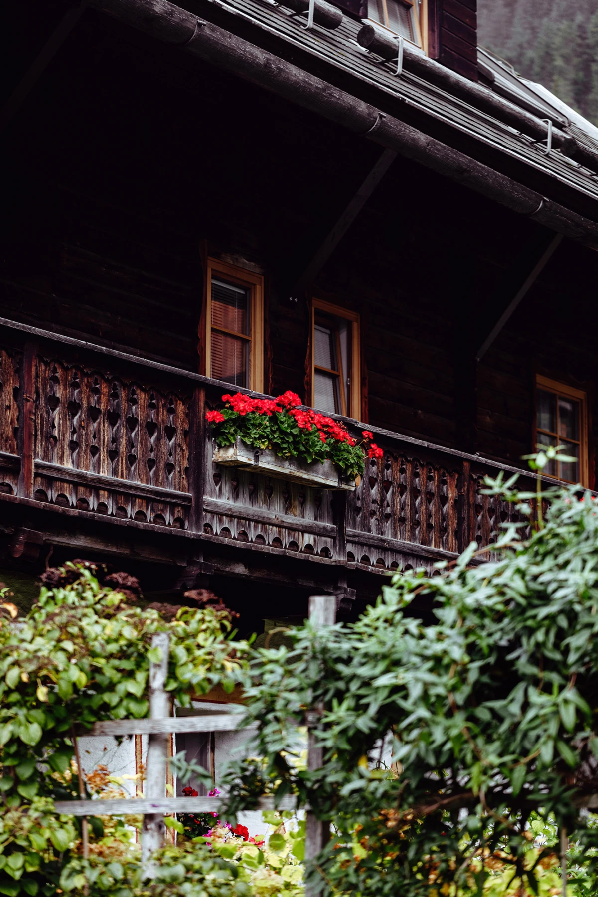 Rustikales Holzhaus mit Balkon, Blumenkasten voller roter Geranien, umgeben von Gartenpflanzen.