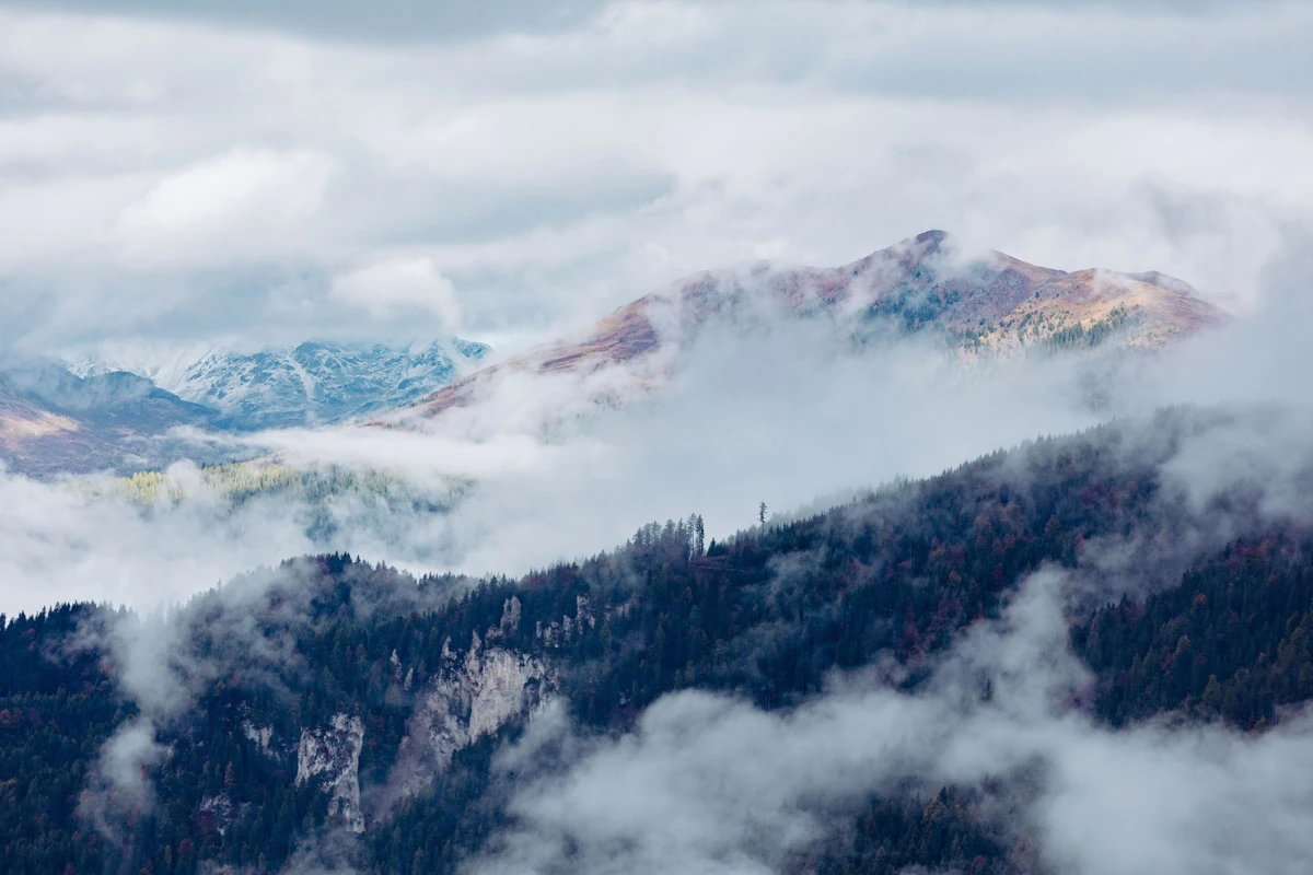 Nebel zieht über Berghänge; Wald im Vordergrund, entfernte schneebedeckte Gipfel im Hintergrund.