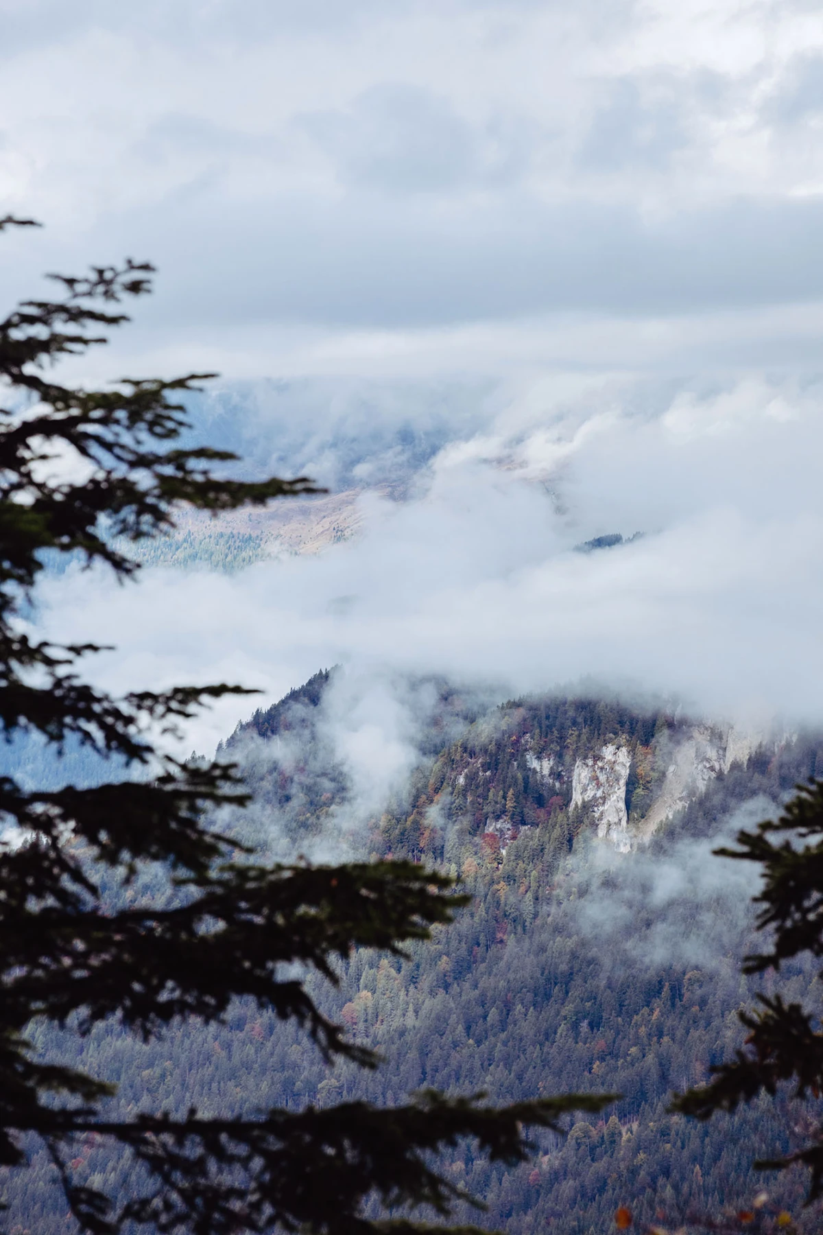 Berglandschaft mit nebligen Wolken um felsige Gipfel, vom Nadelwald umrahmt; Vordergrund: Tannenäste rahmen die Szene.