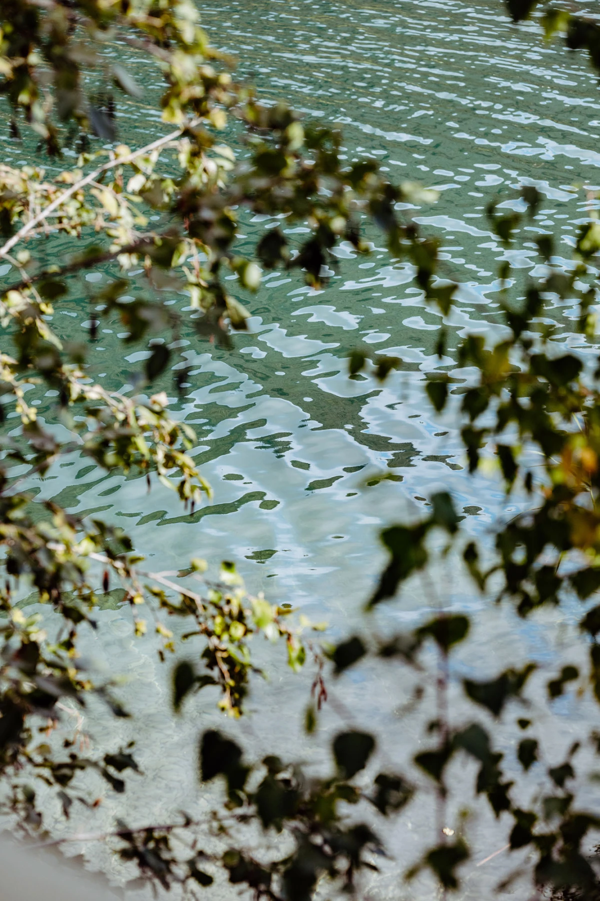 türkisfarbene Wasseroberfläche eines Sees, von Blättern im Vordergrund eingerahmt.