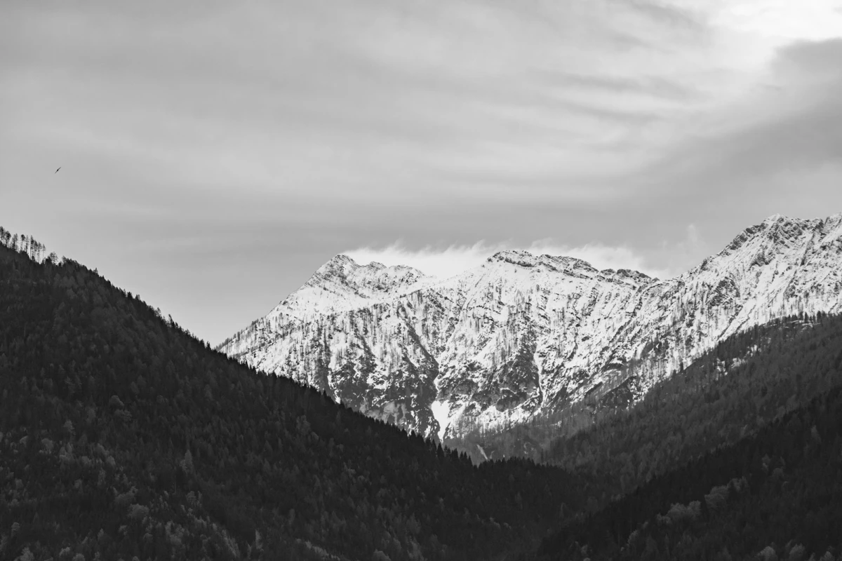 Schneebedeckte Bergkette über dunklem Nadelwald, alpine Landschaft.