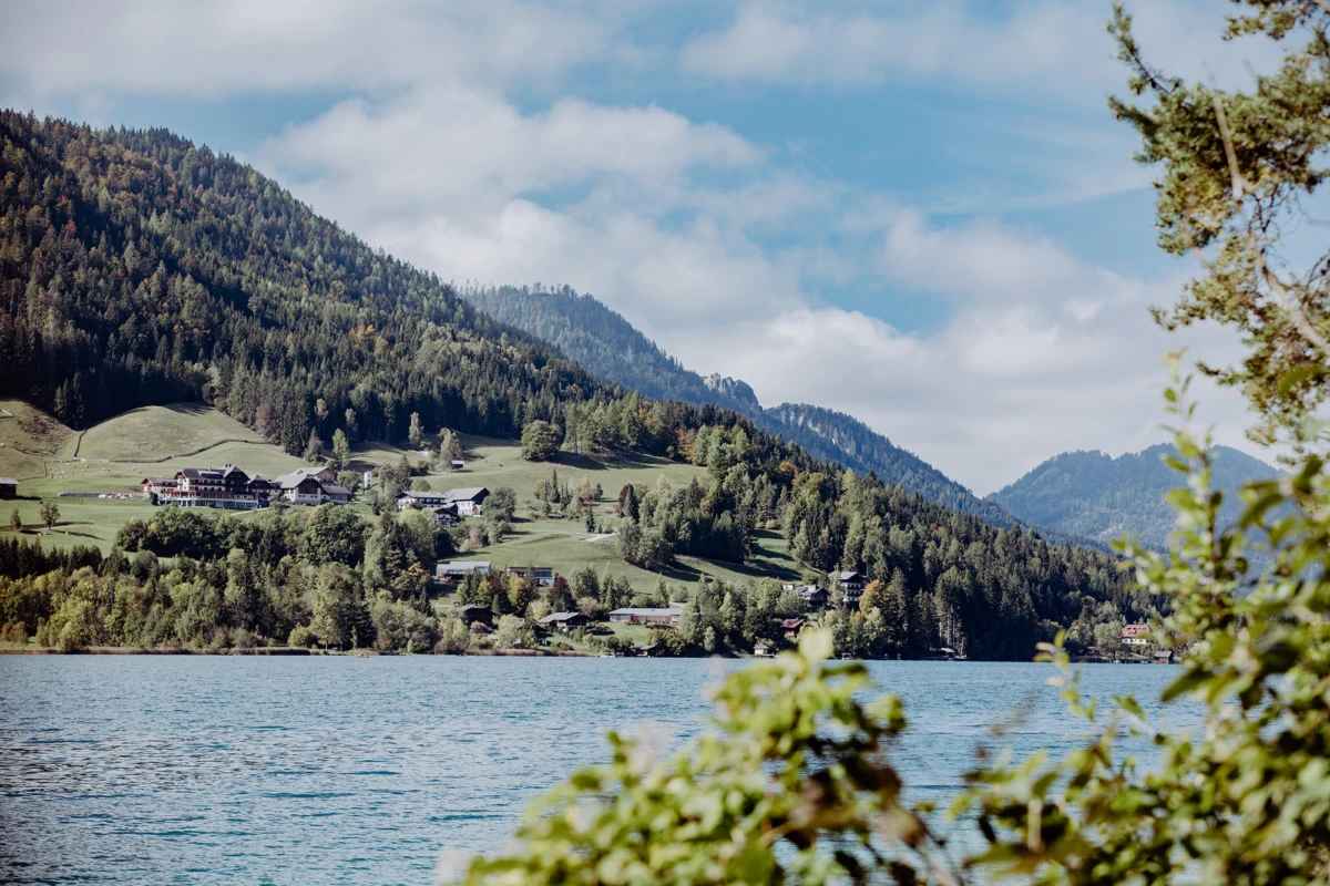Landschaft am See mit Ufer, grünen Hügeln und Wald; verstreute Häuser am Hang, Vordergrund Buschwerk.