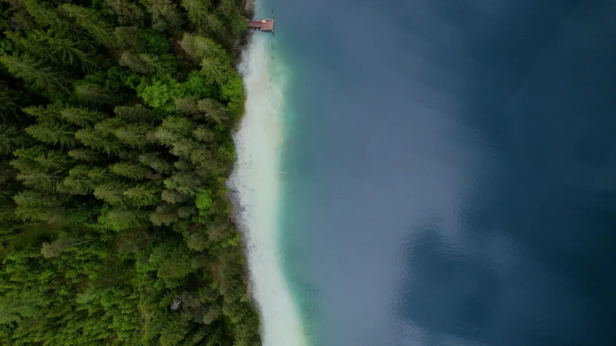 Luftaufnahme einer Waldküste: schmaler Sandstrand, türkisfarbenes Wasser am Ufer, dunkles Meer weiter draußen; kleiner Holzsteg am Ufer.