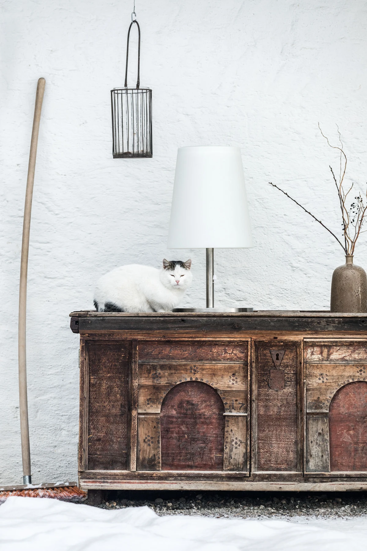 Weiße Katze mit grauen Ohren sitzt auf altem Holzsideboard vor weißer Außenwand, neben Lampe und Vase mit Zweigen.